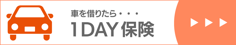 1DAY保険はこちら